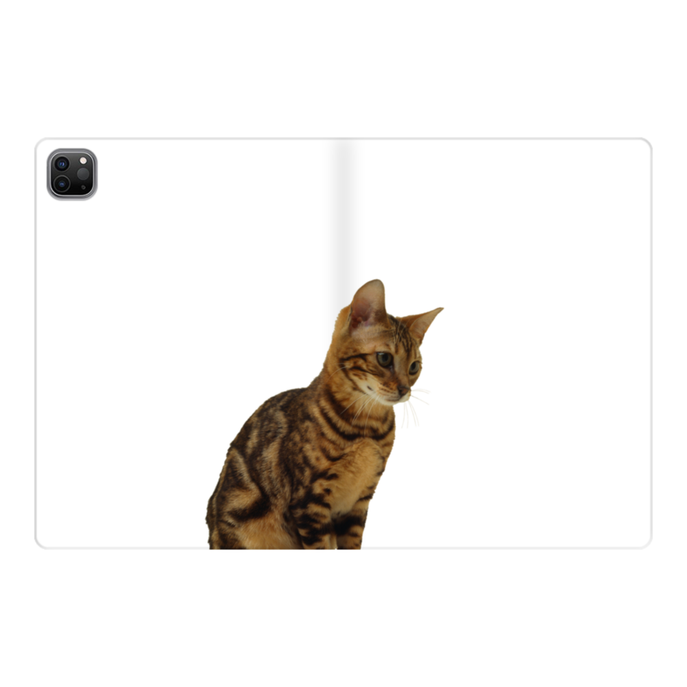 ペア 可愛い猫ちゃん 左 Ipad Pro 11 0 21 手帳型ケース プリケース